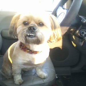 Meet your Posher, Nancy